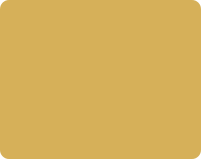 Donor Class Color