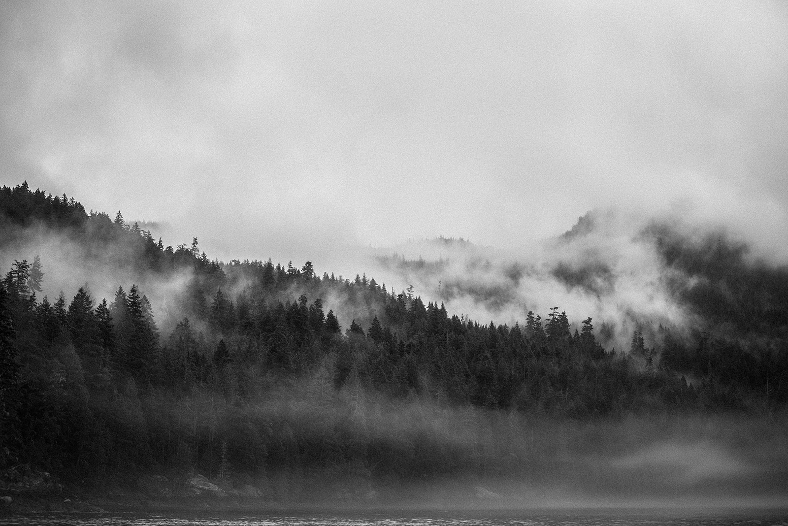 Coastal fog 3955 2